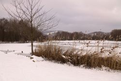 Blick auf den Dixbixer