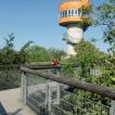Baumturm zwischen den Wipfeln