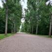 Die breite Allee mit Blick auf die Sternbrücke